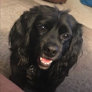 Meet your Posher, Dena